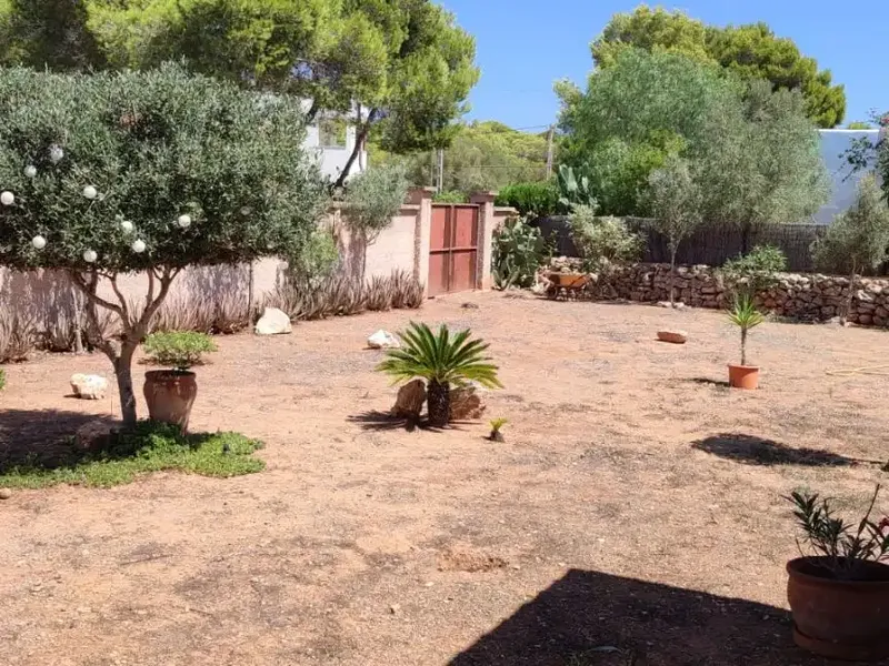 Se vende. Santany.Se puede hacer piscina y ya se ha mirado en el Ayuntamiento, y se puede poner toda la documentación de la casa en regla y  — photo 8