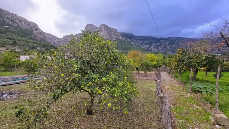 Between the mountains connecting Sóller and Fornalutx lies this unique property, located in one of the most beautiful and peaceful enclaves — photo 8