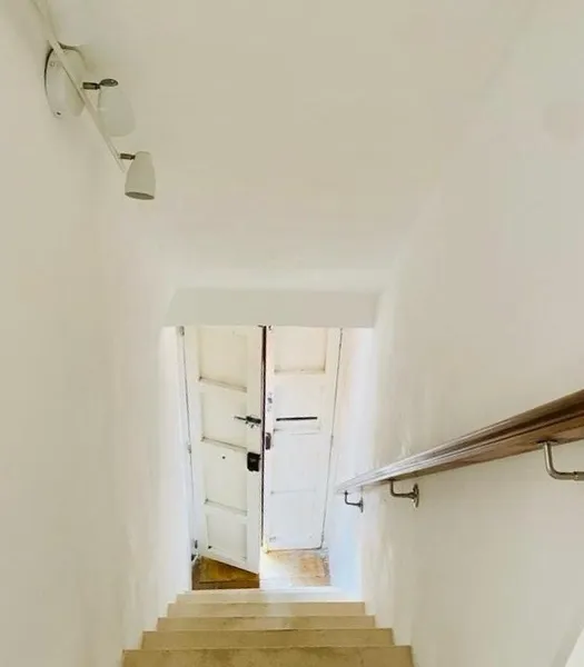 STA 135 – Santa Catalina — photo 11