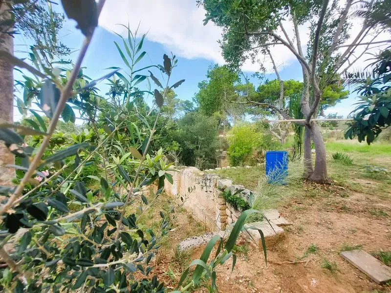 Cortijo in Muro, Mallorca — photo 6