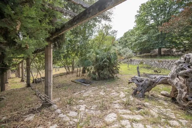 Villa for sale in Escorca, Mallorca — photo 11