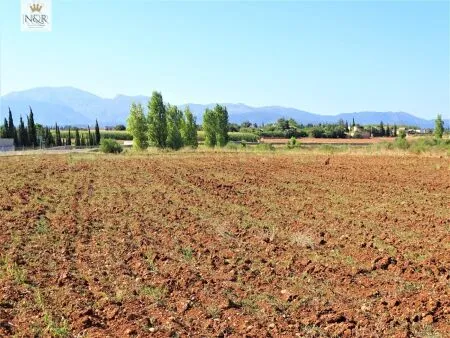 Rural Land - Llubí (Afueras de Llubí), Plot Surface 7500m², Distance to the Sea 14 Km. — photo 1