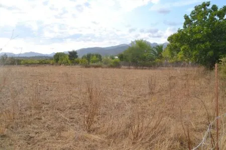 Rustic property - Campanet, Built Surface 20m², Plot Surface 4316m², 1 Room — photo 8