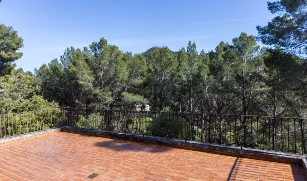 Finca with views over the port and holiday rental licence in Andratx — photo 10