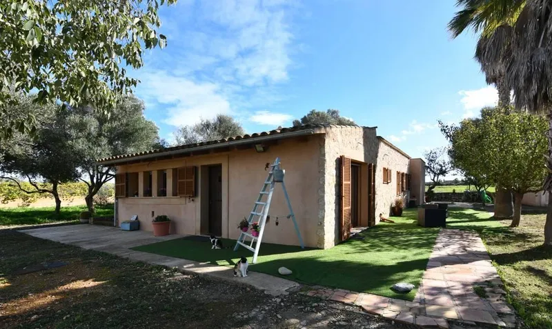 Cozy self-sufficient country house with the possibility of building a pool in Felanitx — photo 5