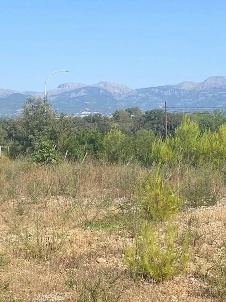 Flat plot near the Costitx roundabout (not buildable) — photo 4