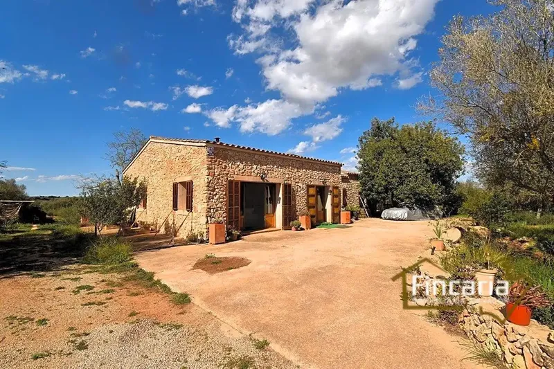 Exceptional rustic house in Mallorcan style in perfect condition, located in the Sa Ribera area 8 km from the town of Manacor — photo 8