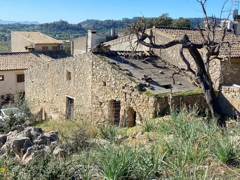 Opportunity in Caimari: Life Project at the Foot of the Tramuntana — photo 3