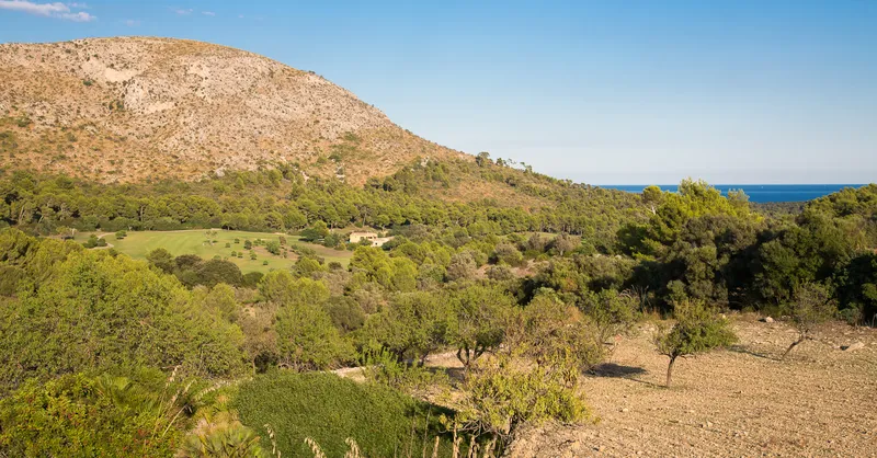 House, rustic estate, Puerto de Alcudia — photo 5