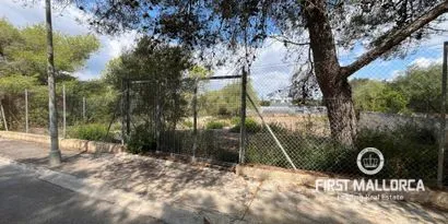 Real estate picture 0 Ref. No. 81226 — photo 4