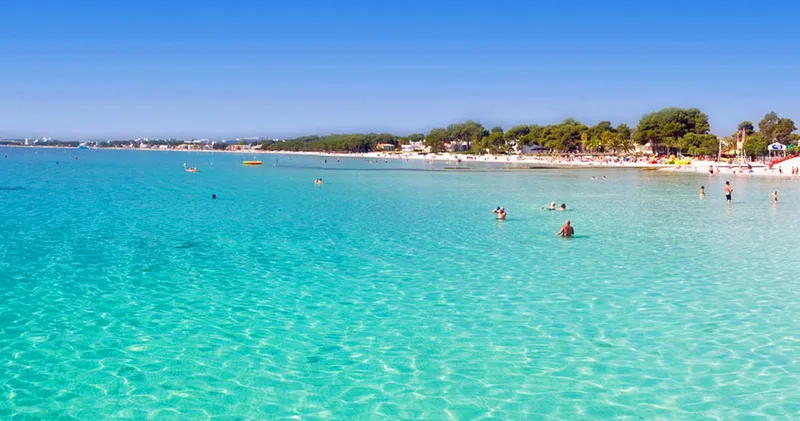 Exclusive urban plot of 710 m² in Bonaire (Alcúdia) — photo 12