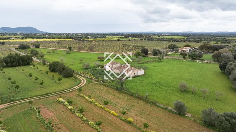 Exclusive rustic finca for sale in Binissalem, Mallorca — photo 10