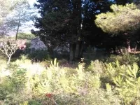 Plot in Barcares 600 m, Alcudia — photo 1