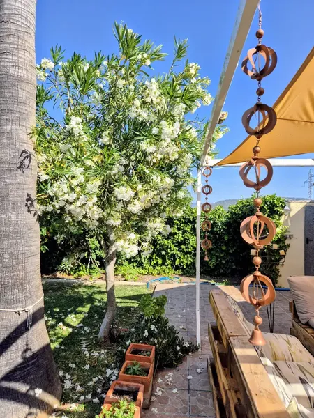 Charming rustic house for rent with garden, terraces and land in the north of Mallorca, available from September 1, 2026 — photo 7
