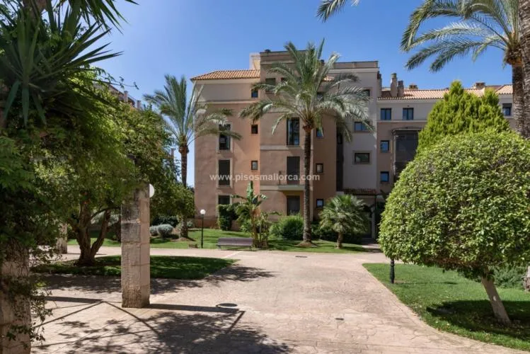 Apartment in Palma de Mallorca — photo 7