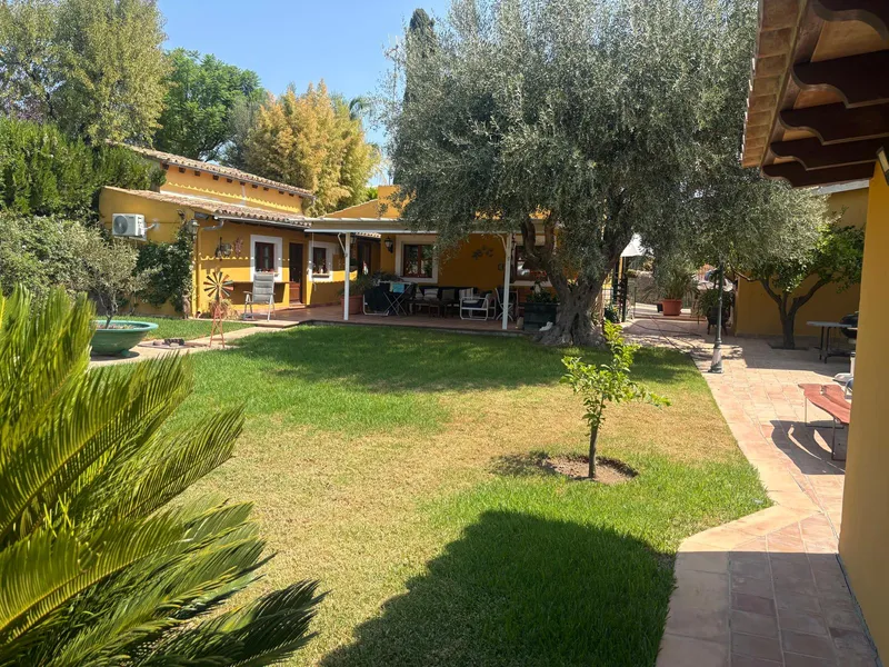 Rural finca in Establiments — photo 8