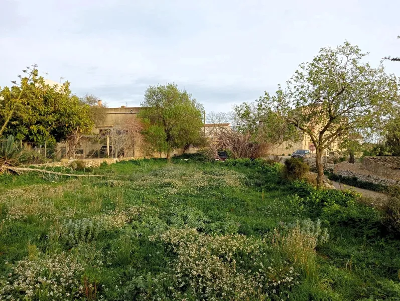 Exclusive plot with sea views and great development potential in Alquería Blanca — photo 7