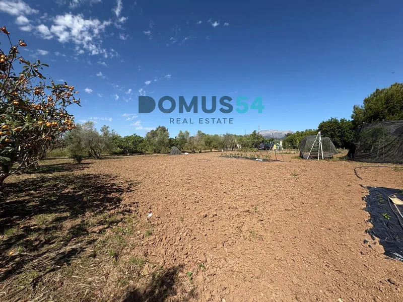 Unbuildable rural land with a shed in Sa Pobla — photo 9