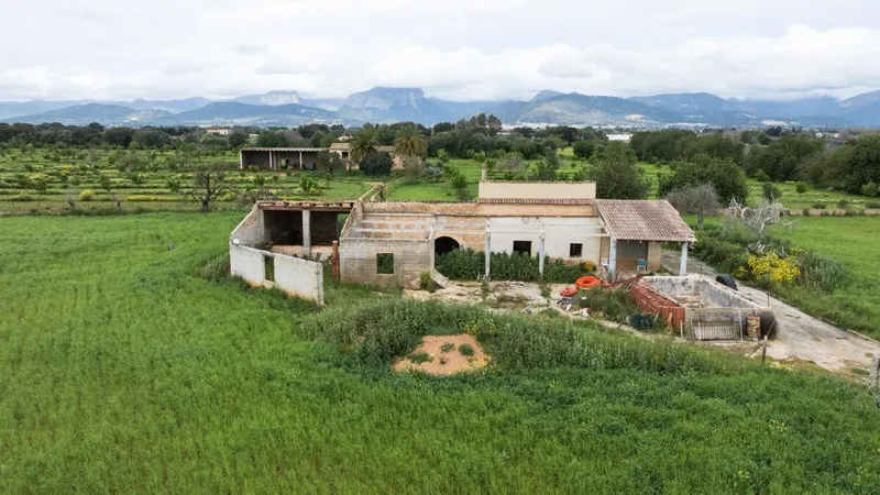Large plot in Binissalem with the possibility of building about 430m2 — photo 2