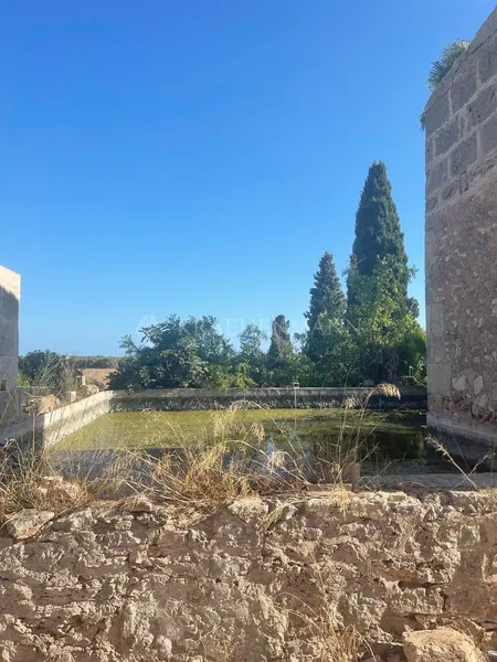Country house between Campos and Sa Rapita to renovate — photo 6