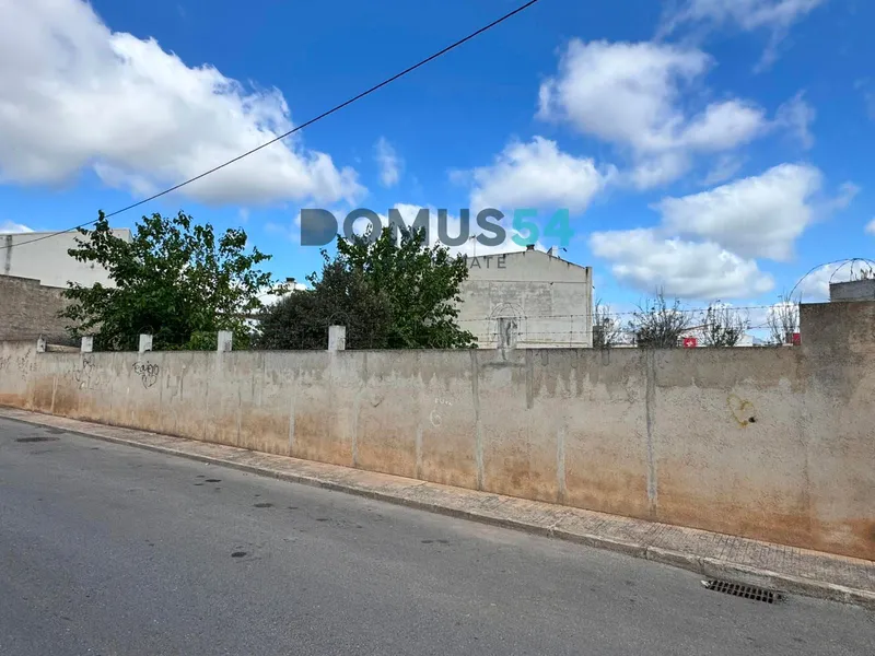 plot in Sa Pobla — photo 8