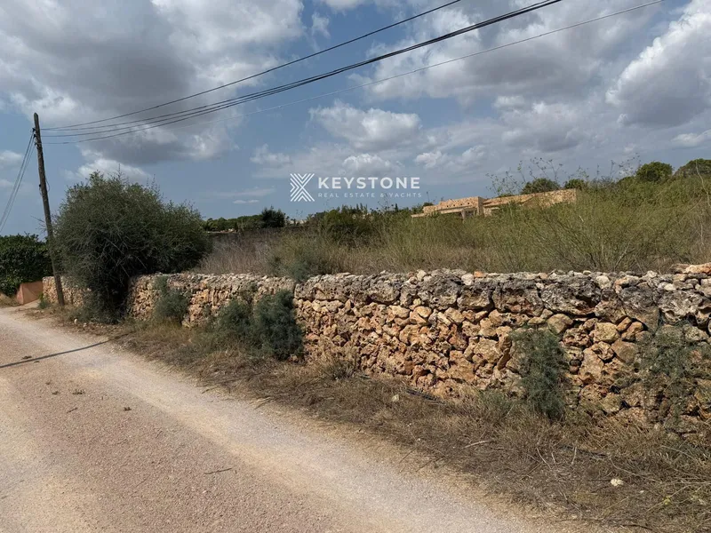 Plot — photo 5