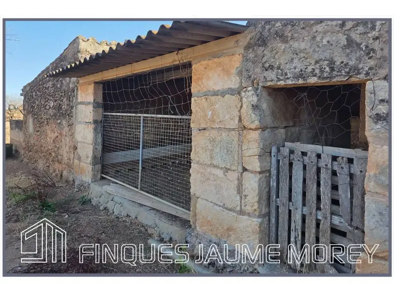 En el municipio de Búger les ofrecemos esta finca rústica de uno 8.000m2 de terreno con una edificación agraria existente de unos 240m2 apro — photo 9