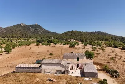 Estate in Felanitx 715sqm 120768sqm Land — photo 1