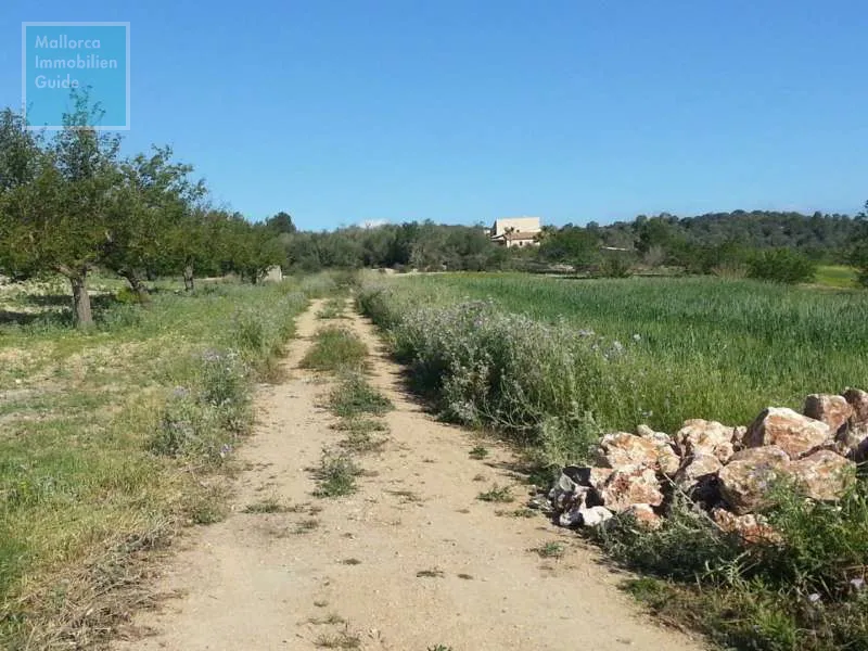 New finca with vineyard close to Porreres — photo 8