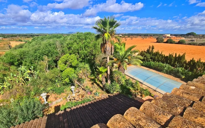 Finca with great views 6 km from Es Trenc beach - Campos — photo 2