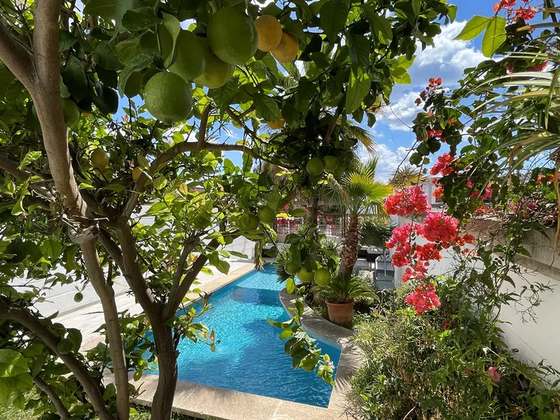 Magnificent villa of 283 m² with pool, sea view and garage in El Terreno, Palma — photo 2