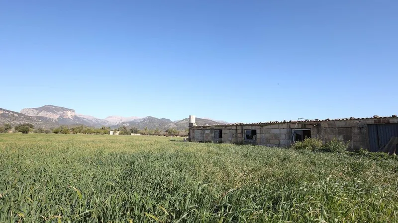 Land in Binissalem, Province of Balearic Islands — photo 4
