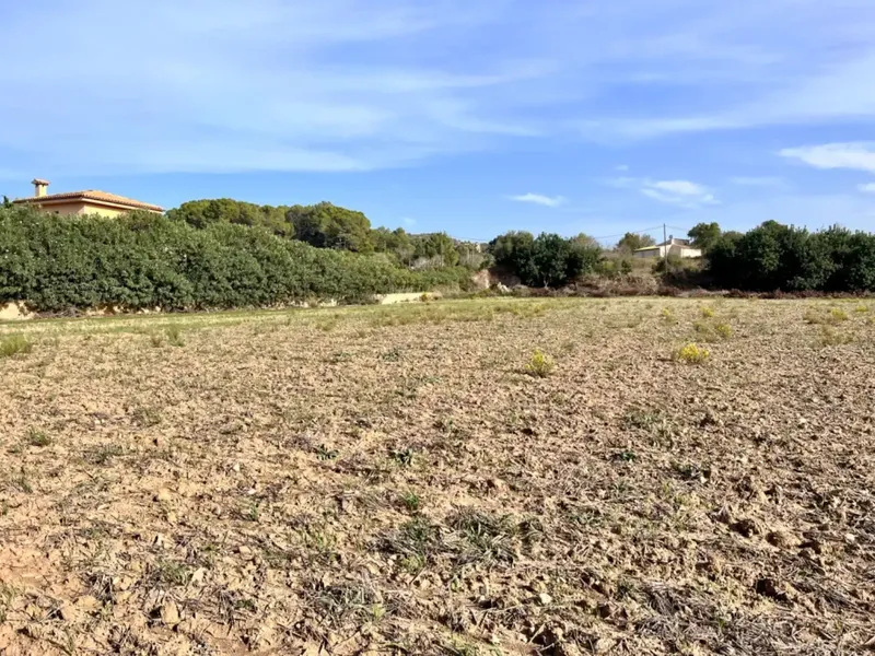 On the outskirts of Alcudia, we have this finca of about 12,900 m2 of land, with a water well, fenced finca, with 1 building in ruins. — photo 12