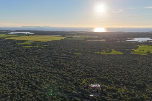 Ses Salines, Premium building plot in a top location in Ses Salines - including approved building project and building permit for a finca with views as far as Cabrera — photo 4