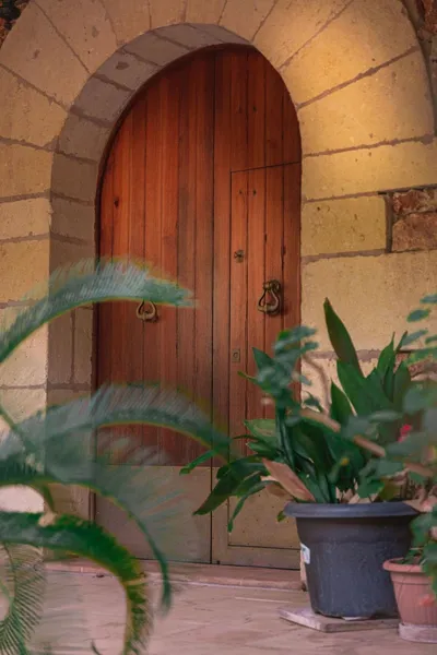 Residential Finca with ETV in Costa de los Pinos — photo 12