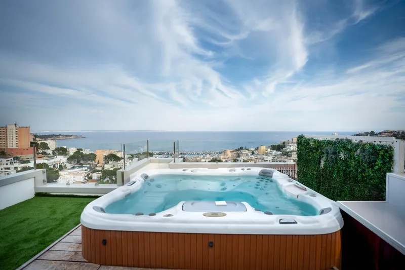 Exclusive Penthouse with Panoramic Sea Views in Sant Agustí — photo 1
