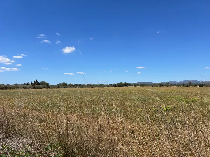 Beautiful plot in Campos with building possibility — photo 2