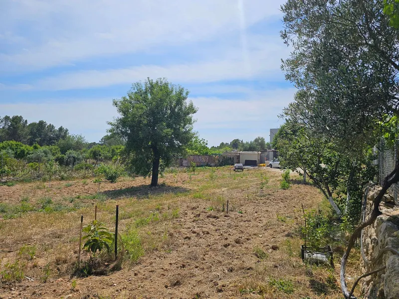Quiet agricultural property in Calvià - 3,500 m² of nature, privacy and rural charm — photo 6