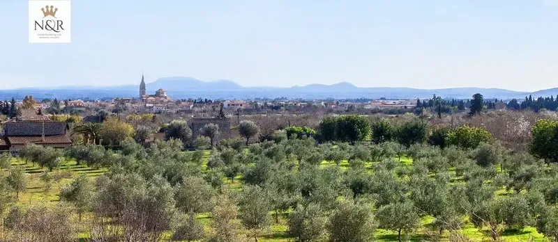 IKV00080/1. Rustic estate in Binissalem, has a 130 m2 construction built before 1956. The plot is 44000 m2, could be expanded — photo 11