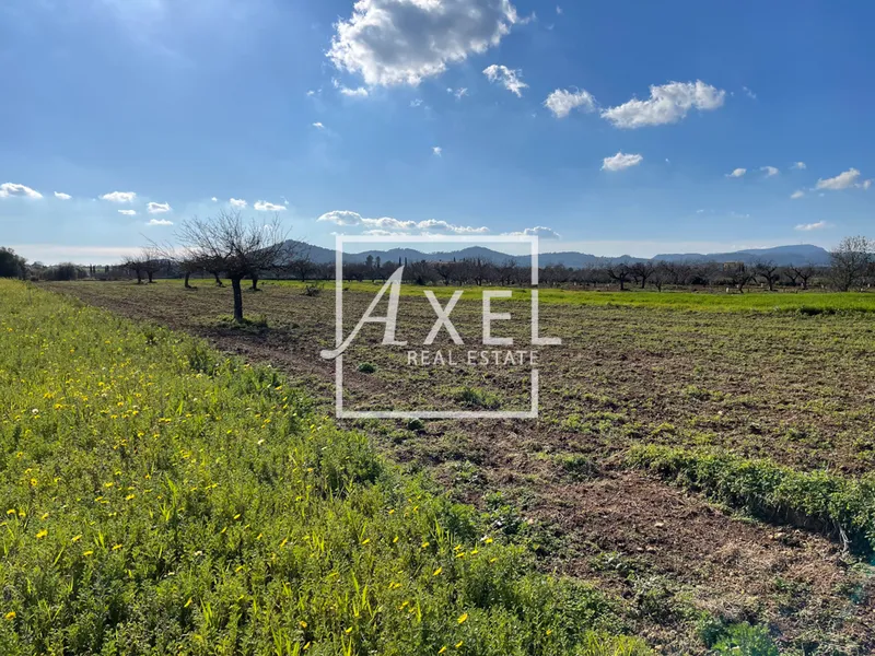 Small plot near Porreres, very good arable land — photo 3
