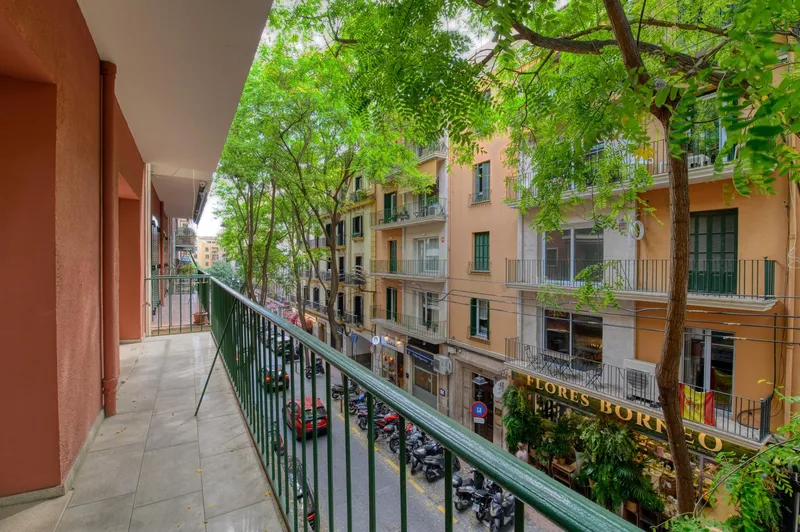 Flat - Palma de Mallorca (Sant Jaume) — photo 6