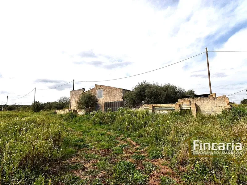 Country house in Manacor, Mallorca — photo 4