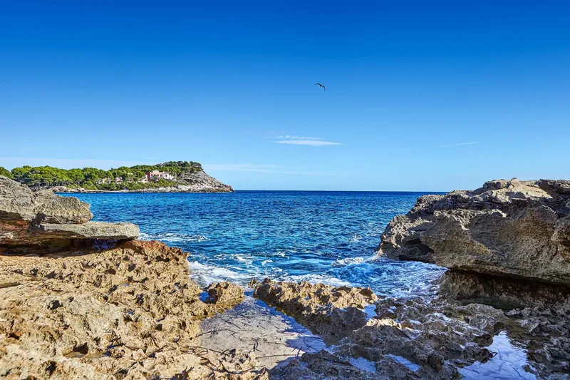 Vacation rental: Beachfront villa for rent in Cala sa Font — photo 4