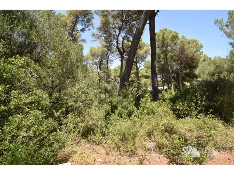 Plot on the coast of Canyamel for investment — photo 3
