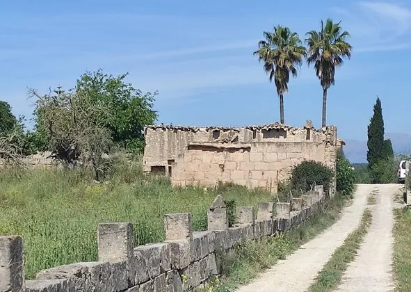 Estate in Poligono Nn, Sineu — photo 1