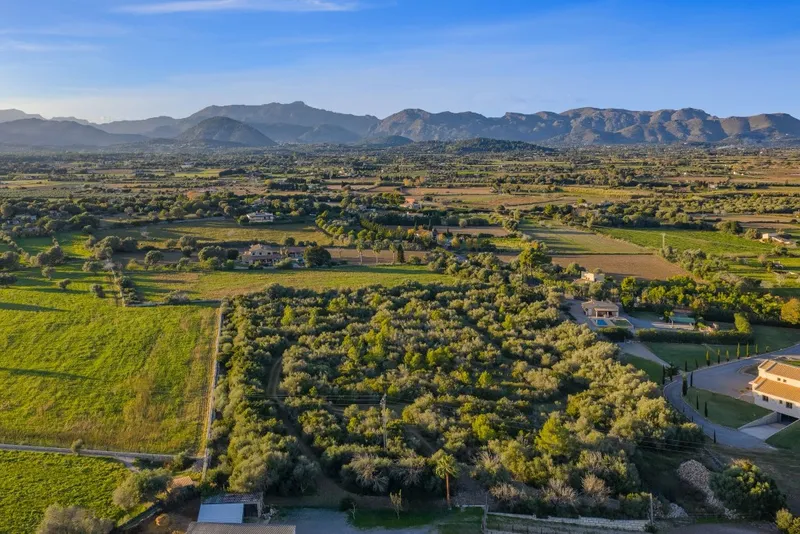Plot for sale in Alcudia — photo 2