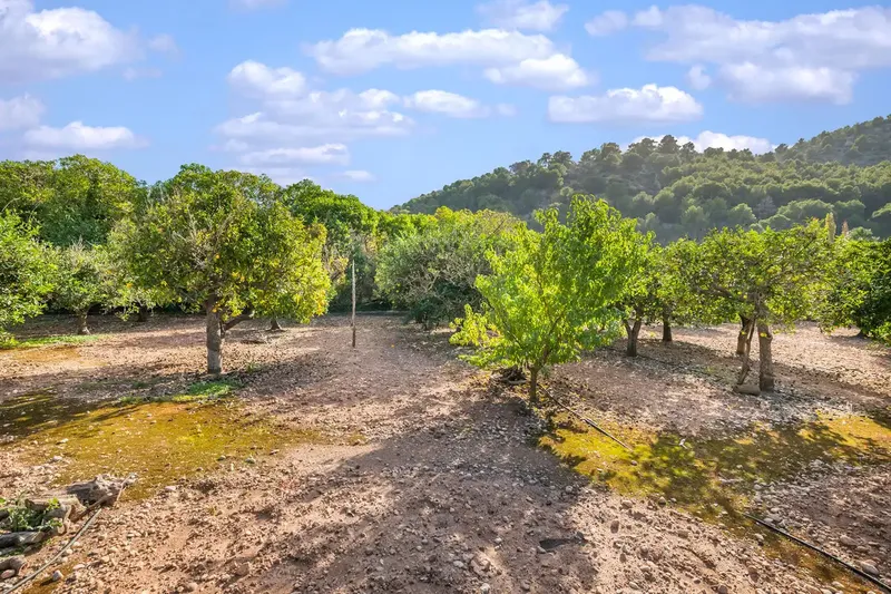 This finca in Sóller is located just steps from the beach and several shops, bars and restaurants in the port of Puerto Sóller. — photo 12