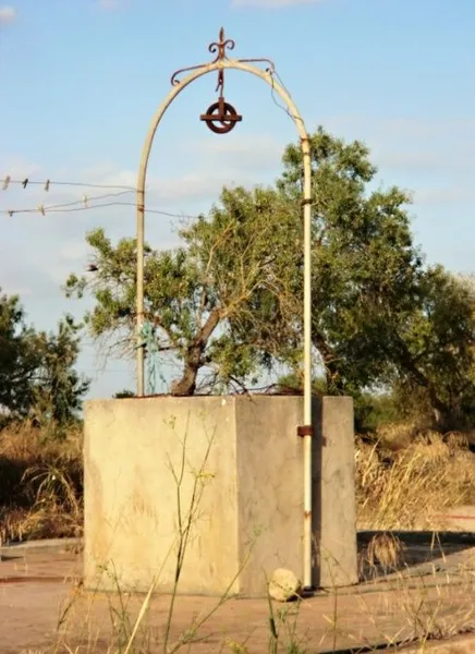 Large plot with several buildings between Campos and Llucmajor — photo 3