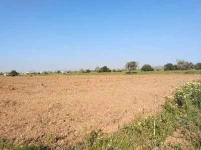 Rural Land - Campos, Plot Surface 2406m² — photo 2
