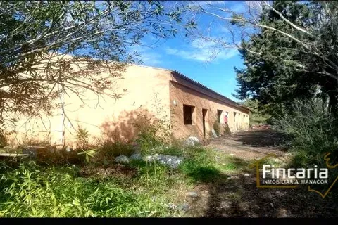 Country house in Sa Pobla, Mallorca — photo 7